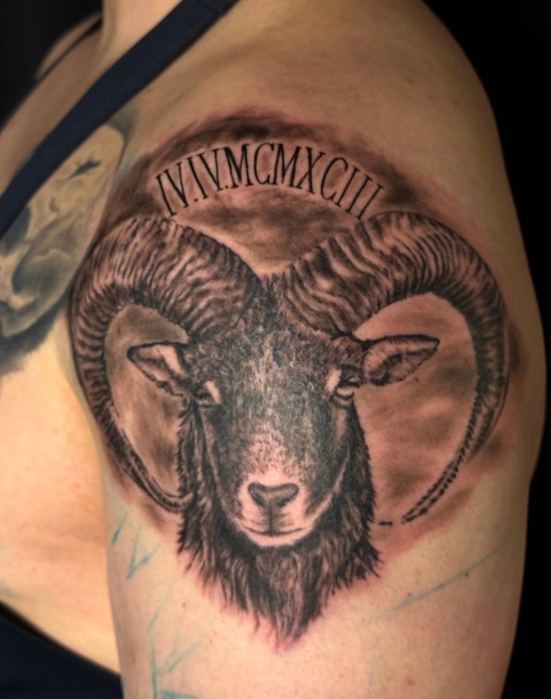Realistisches Widder-Tattoo mit römischen Zahlen zwischen den Hörnern
